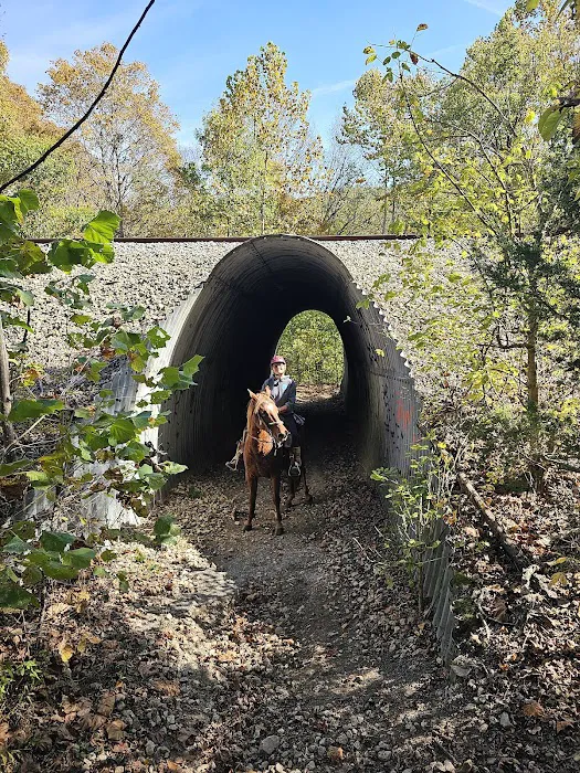 Bay Creek Ranch Campground Picture 10