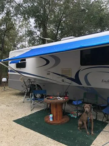 SMALL TOWN RANCH Picture 4