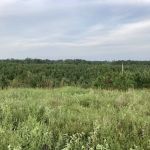 Elvis Presley Lake & Campground