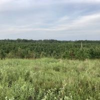 Elvis Presley Lake & Campground ico