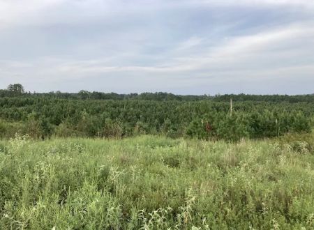 Elvis Presley Lake & Campground