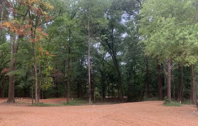 Purdie Creek Campground Picture 3