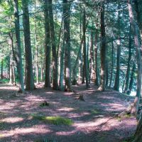 Cedar Campground ico