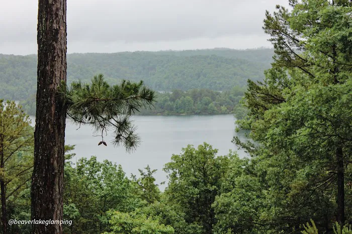 Beaver Lake Glamping & RV Resort Picture 7