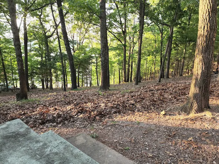 Starkey Campground Picture 6