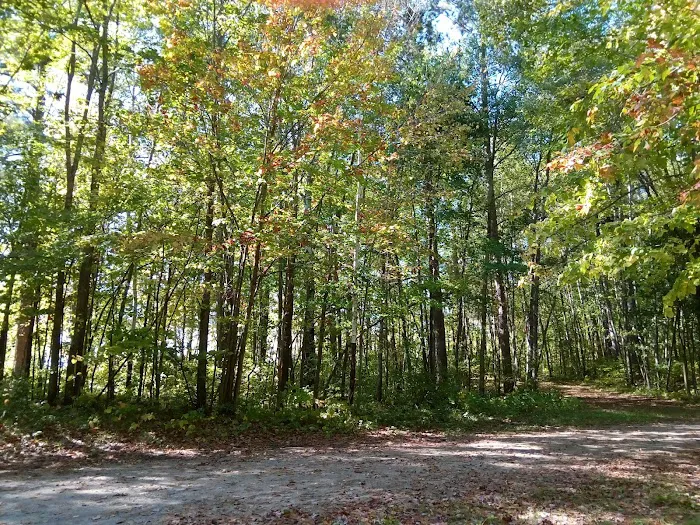Six Mile Campground Picture 8