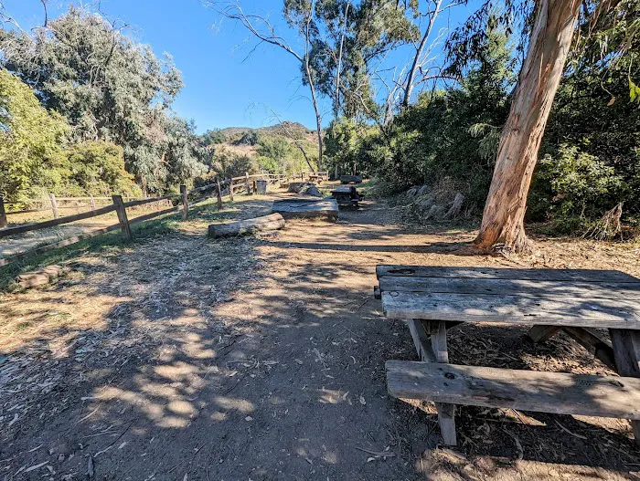 Musch Trail Camp - Topanga State Park Picture 2