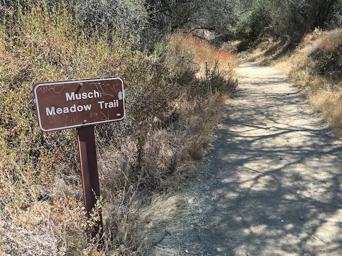 Musch Trail Camp - Topanga State Park Picture 4
