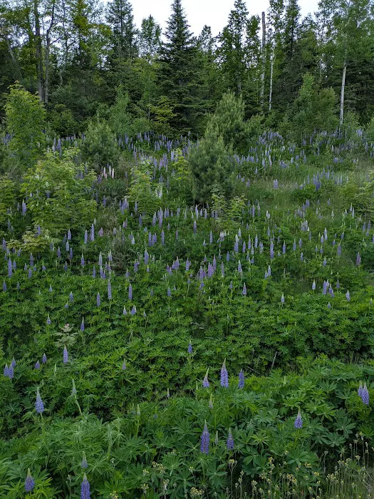 East Poplar River Camp Picture 6