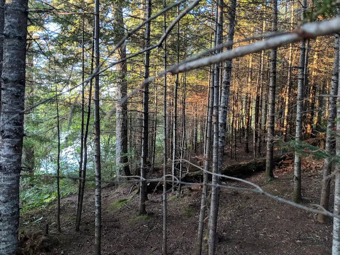 East Poplar River Camp Picture 8