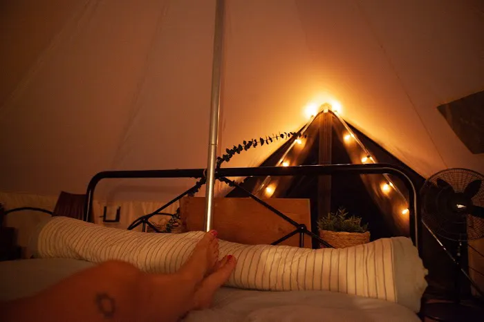 The Grove Glamping Picture 2