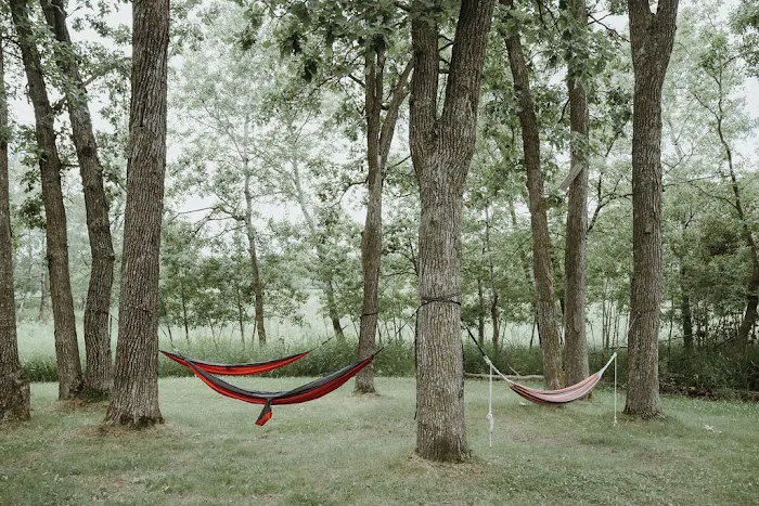 The Grove Glamping Picture 7