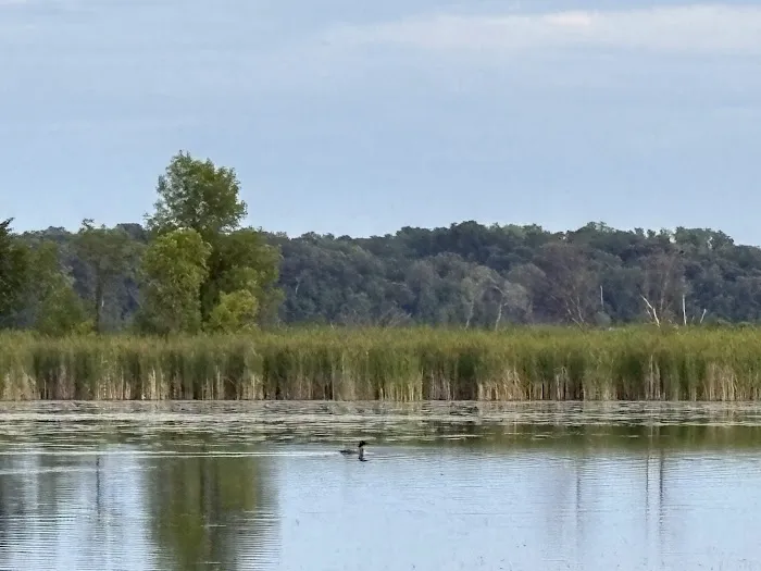 Panfish Landing Picture 4