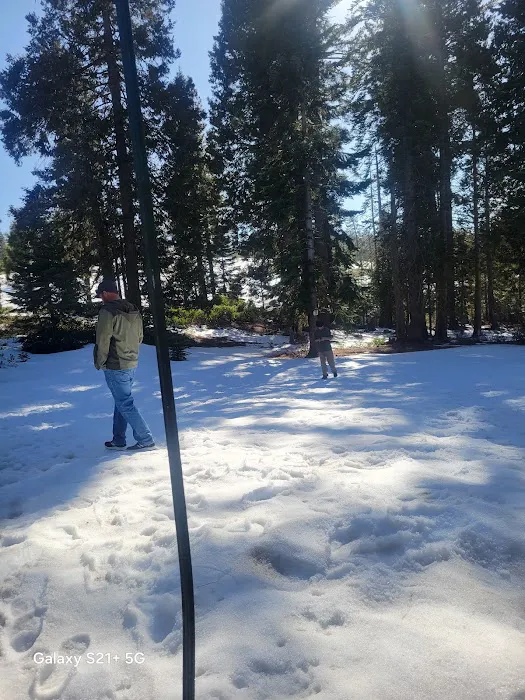 Summit Meadow Campground Picture 2