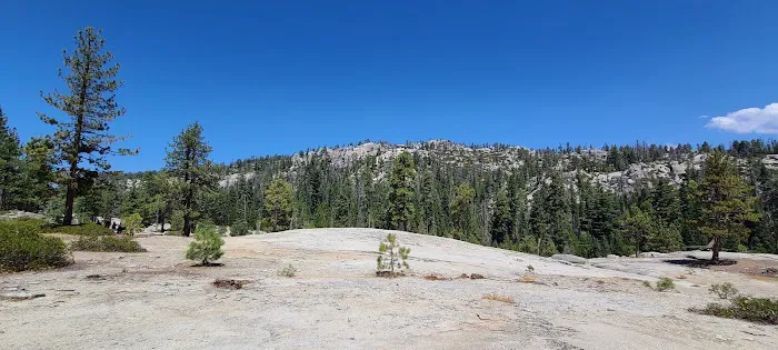 Summit Meadow Campground Picture 8