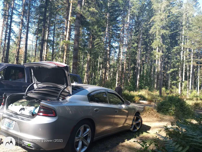 Middle Waddell Campground Picture 8