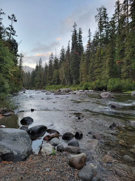 Lower Johnny Creek Campground Picture 2