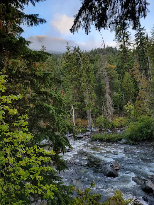 Lower Johnny Creek Campground Picture 4