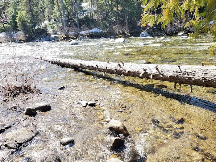 Lower Johnny Creek Campground Picture 9