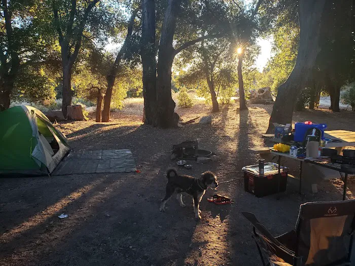 Cottonwood Campground Picture 1