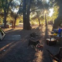 Cottonwood Campground ico