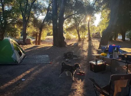 Cottonwood Campground