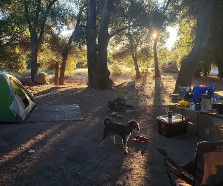 Cottonwood Campground