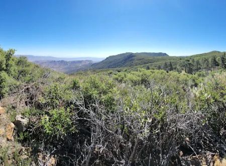 Burnt Rancheria Campground