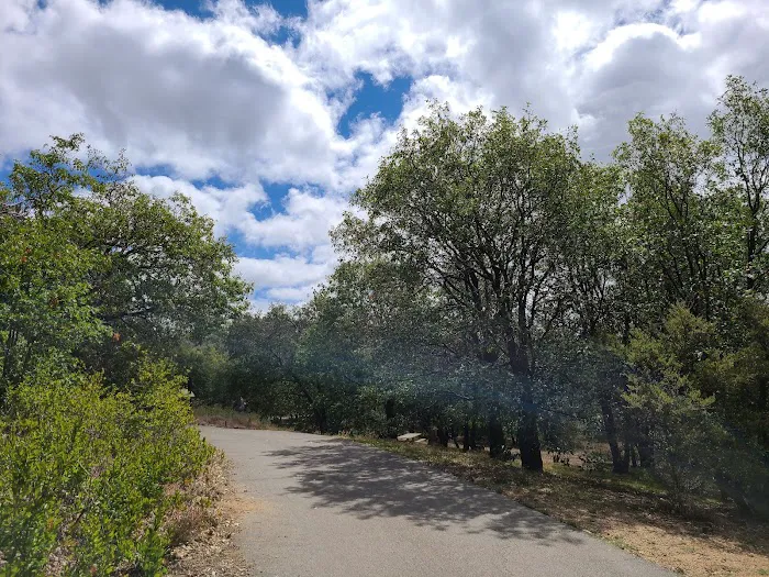 Burnt Rancheria Campground Picture 6