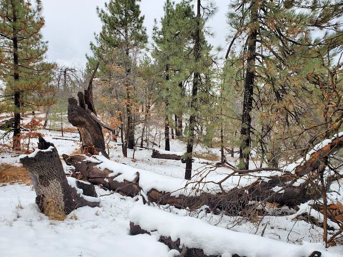 Burnt Rancheria Campground Picture 9