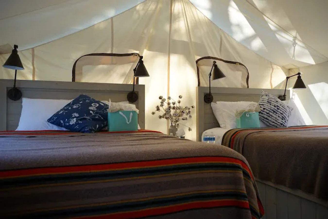 Black Tree Resort
