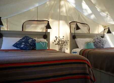 Black Tree Resort