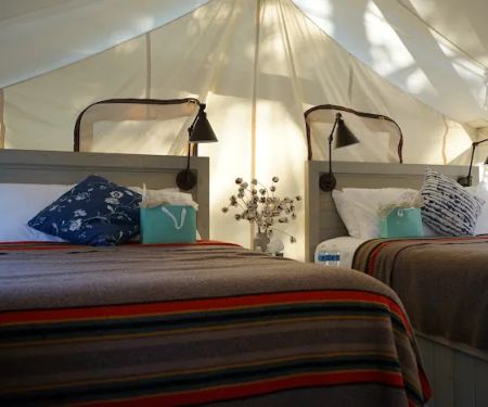 Black Tree Resort