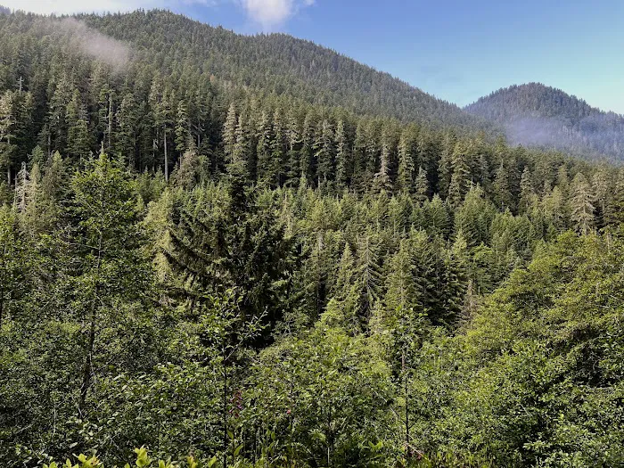 Boulder Creek Campground Picture 5