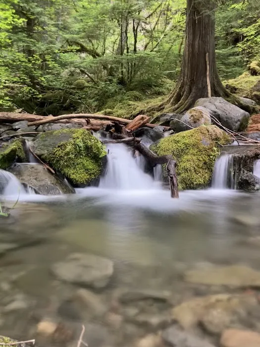Boulder Creek Campground Picture 4