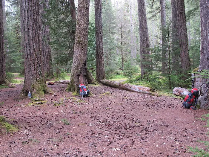 Boulder Creek Campground Picture 6