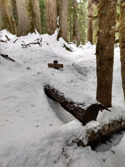 Martin Creek Stock Camp Picture 2