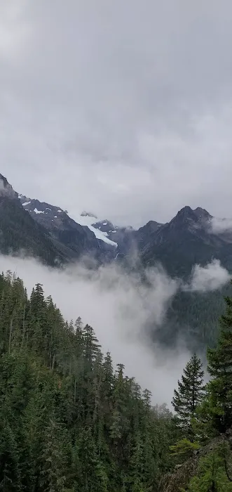Martin Creek Stock Camp Picture 5