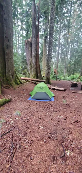 Martin Creek Stock Camp Picture 4