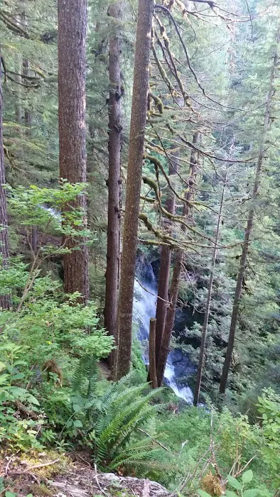 Martin Creek Stock Camp Picture 3