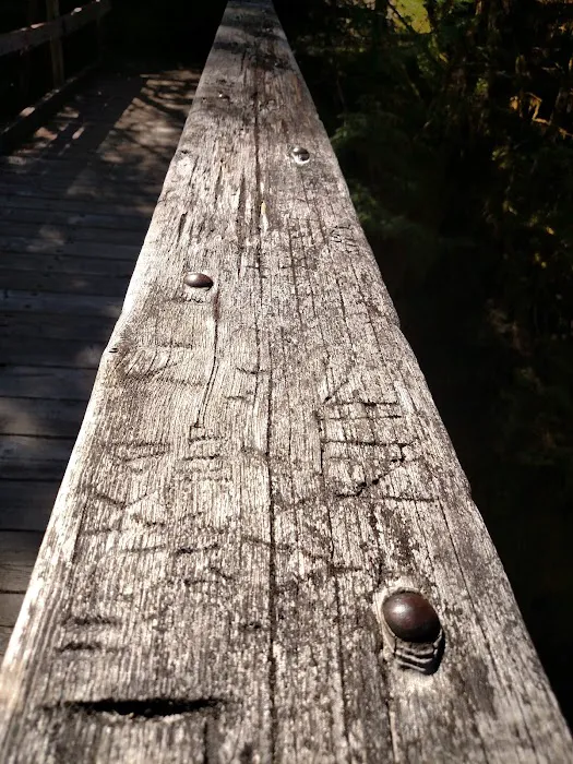 Elk Lake Picture 10