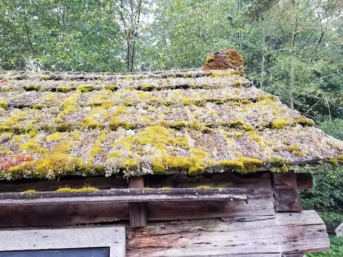 Sol Duc Park Picture 3