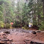 Sol Duc Park
