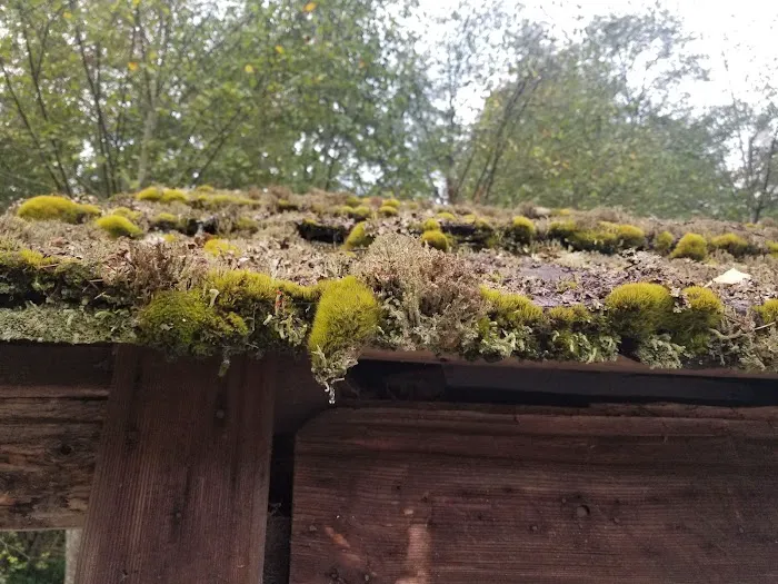 Sol Duc Park Picture 4