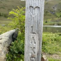 Heart Lake ico
