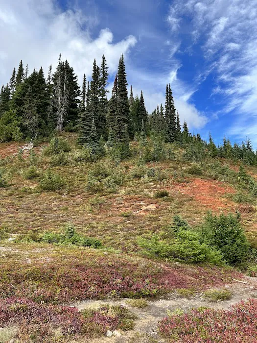 Heart Lake Picture 6