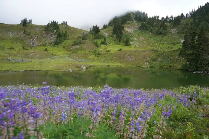 Heart Lake Picture 4