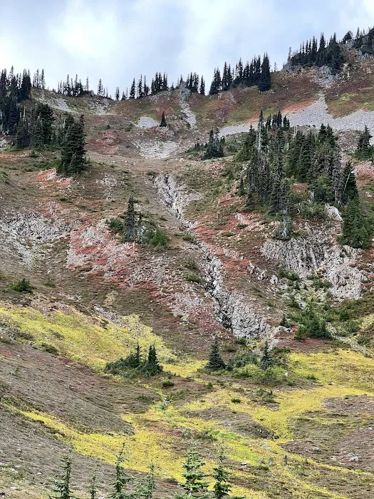 Heart Lake Picture 9