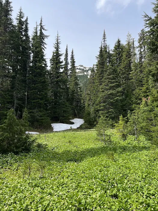 Boulder Lake Picture 3