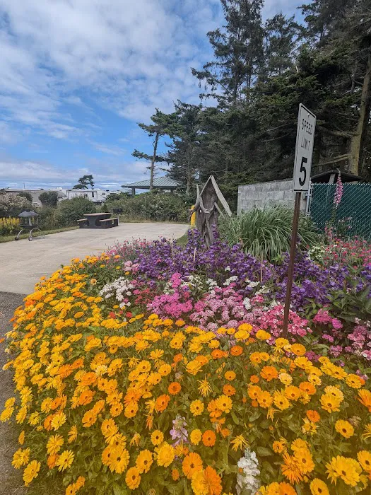 Cliffside RV Park Picture 7